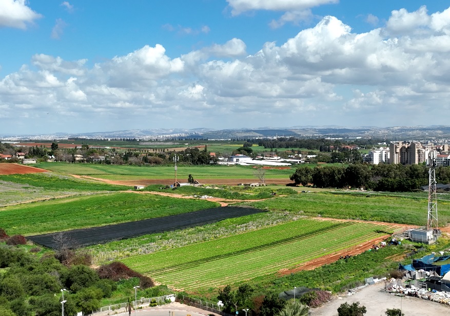 פרויקט בן יהודה כפר סבא