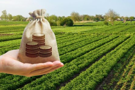 money-bag-farm-field-background-lending-subsidizing-farmers-grants-financial-support-agribusiness-profit-land-value-valuation-land-tax-agricultural-startups-secured-loan-investments (1)