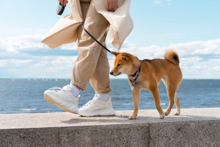 side-view-owner-walking-with-dog (1)