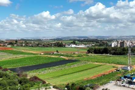 פרויקט בן יהודה כפר סבא